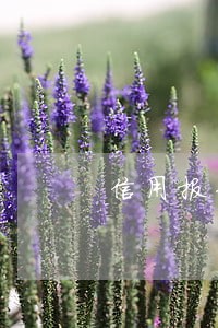 信用报告中有逾期的怎么办 信用报告中有逾期的怎么办