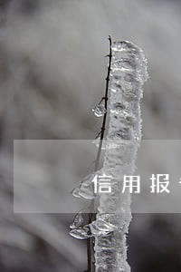 信用报告中逾期2次 信用报告中逾期2次