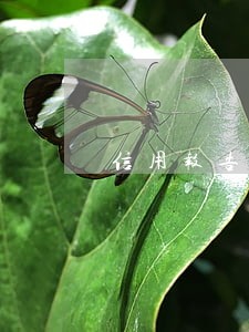 信用报告中逾期期数和次数6 信用报告中逾期期数和次数6