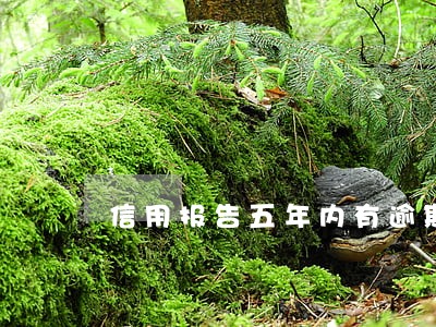 信用报告五年内有逾期 信用报告五年内有逾期