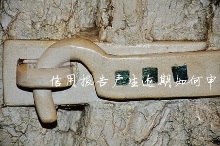 信用报告产生逾期如何申请修改 信用报告产生逾期如何申请修改
