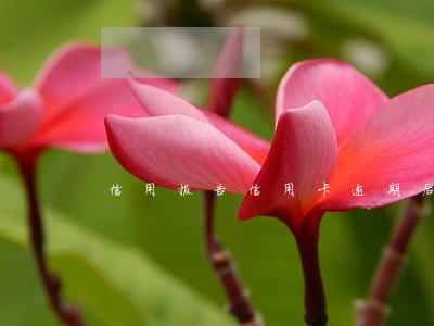 信用报告信用卡逾期后果 信用报告信用卡逾期后果