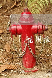 信用报告修改逾期记录 信用报告修改逾期记录
