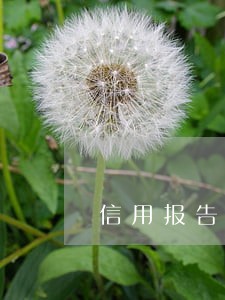 信用报告前面有逾期 信用报告前面有逾期