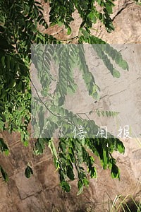 信用报告多次逾期什么情况 信用报告多次逾期什么情况