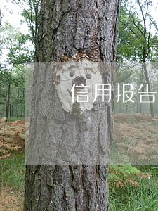 信用报告如何查看是否逾期 信用报告如何查看是否逾期