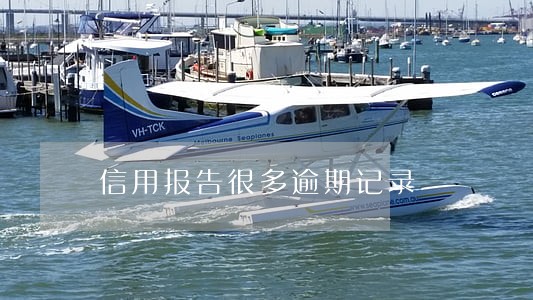 信用报告很多逾期记录 信用报告很多逾期记录