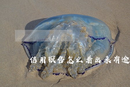 信用报告怎么看出来有逾期