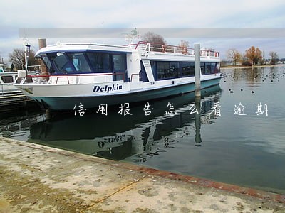 信用报告怎么看逾期 信用报告怎么看逾期