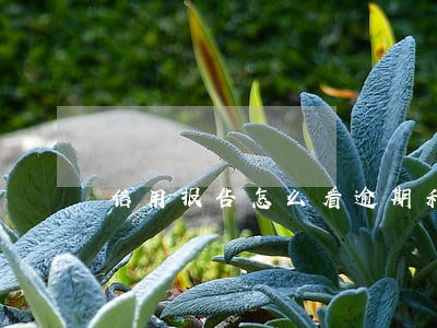 信用报告怎么看逾期和还清 信用报告怎么看逾期和还清