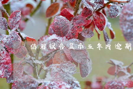 信用报告显示五年内逾期 信用报告显示五年内逾期
