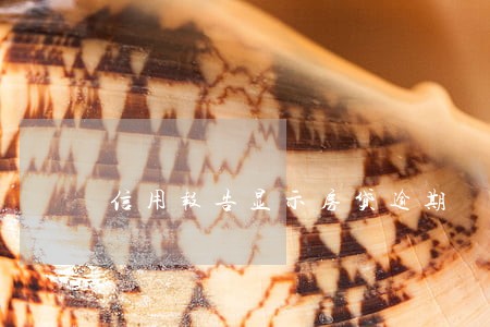 信用报告显示房贷逾期 信用报告显示房贷逾期