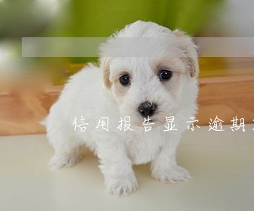信用报告显示逾期2次