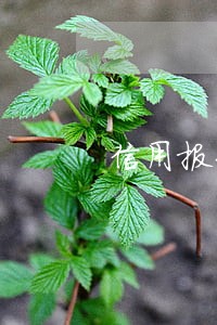 信用报告显示逾期信息年限 信用报告显示逾期信息年限