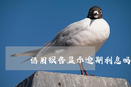 信用报告显示逾期利息吗