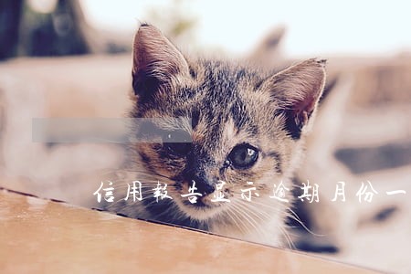 信用报告显示逾期月份一