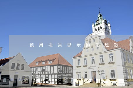 信用报告显示逾期还款 信用报告显示逾期还款