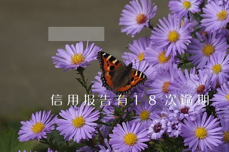 信用报告有18次逾期 信用报告有18次逾期