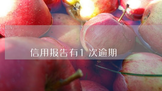 信用报告有1次逾期 信用报告有1次逾期
