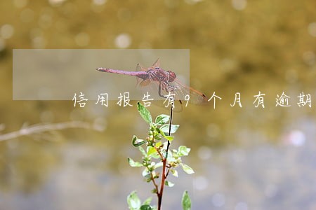 信用报告有9个月有逾期 信用报告有9个月有逾期