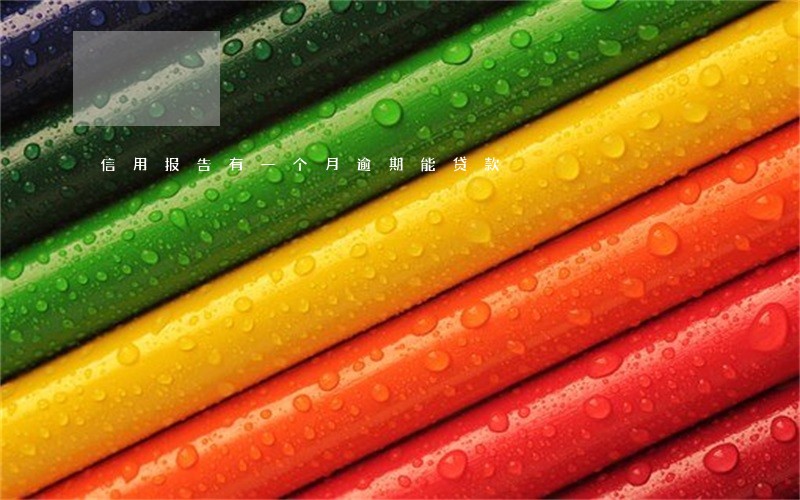 信用报告有一个月逾期能贷款 信用报告有一个月逾期能贷款