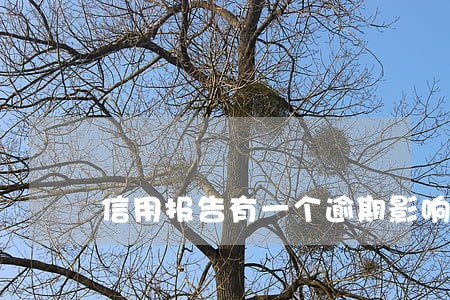 信用报告有一个逾期影响房贷吗 信用报告有一个逾期影响房贷吗