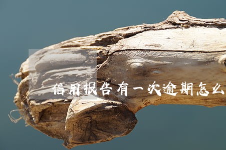 信用报告有一次逾期怎么办 信用报告有一次逾期怎么办