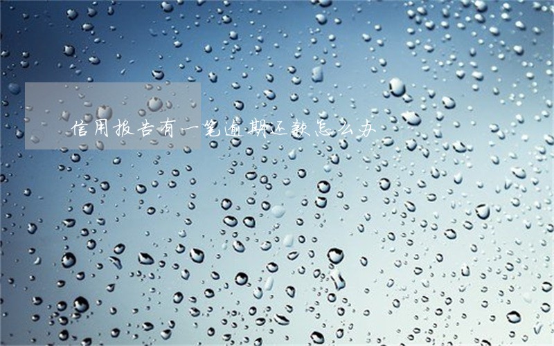 信用报告有一笔逾期还款怎么办 信用报告有一笔逾期还款怎么办