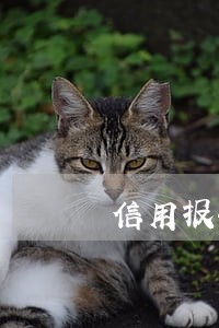 信用报告有三个月逾期 信用报告有三个月逾期