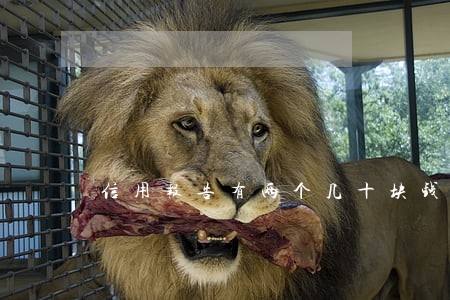 信用报告有两个几十块钱逾期 信用报告有两个几十块钱逾期