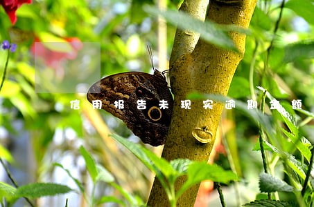 信用报告未现实逾期金额 信用报告未现实逾期金额