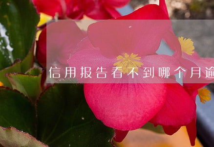 信用报告看不到哪个月逾期 信用报告看不到哪个月逾期