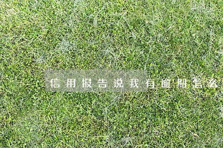 信用报告说我有逾期怎么查 信用报告说我有逾期怎么查