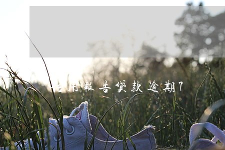 信用报告贷款逾期7 信用报告贷款逾期7