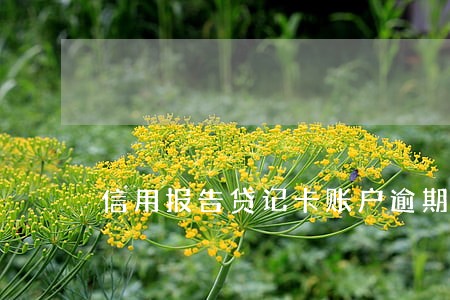 信用报告贷记卡账户逾期1次 信用报告贷记卡账户逾期1次