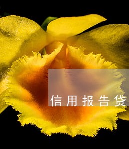 信用报告贷记卡逾期记录 信用报告贷记卡逾期记录