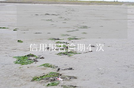 信用报告逾期4次