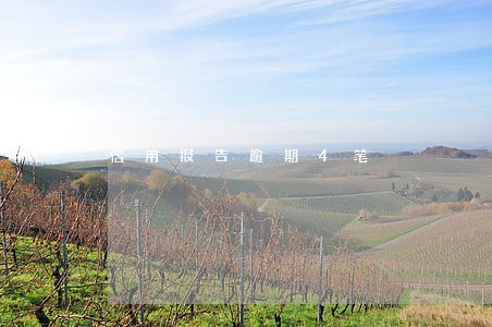 信用报告逾期4笔