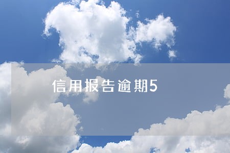 信用报告逾期5 信用报告逾期5