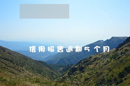 信用报告逾期5个月 信用报告逾期5个月
