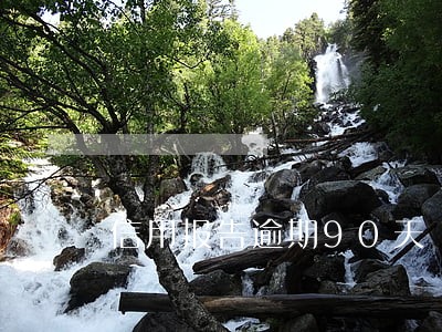 信用报告逾期90天 信用报告逾期90天