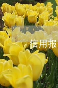 信用报告逾期90天是什么意思 信用报告逾期90天是什么意思