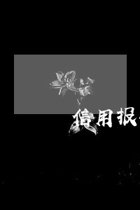 信用报告逾期中