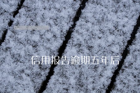 信用报告逾期五年后 信用报告逾期五年后