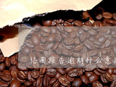 信用报告逾期什么意思 信用报告逾期什么意思