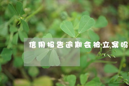 信用报告逾期会被立案吗 信用报告逾期会被立案吗