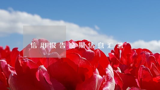 信用报告逾期信息汇总 信用报告逾期信息汇总