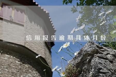 信用报告逾期具体月份 信用报告逾期具体月份