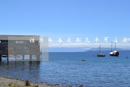 信用报告逾期几年可以消除 信用报告逾期几年可以消除