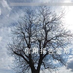 信用报告逾期多久会上征信 信用报告逾期多久会上征信